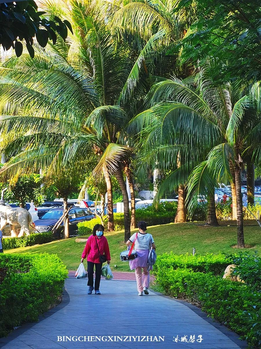 旅居海南：九所新区的浪漫情