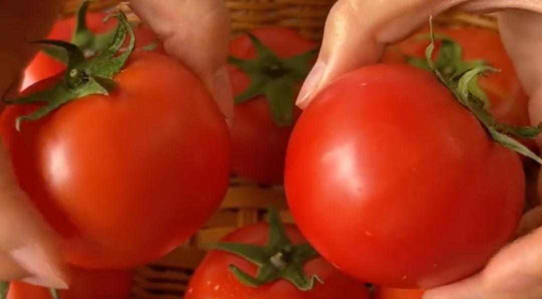 最掉秤的食物,减肥掉秤最快的食物是什么