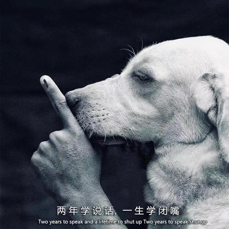 只要努力就会有好运出奇迹,只要努力就能有好的运气