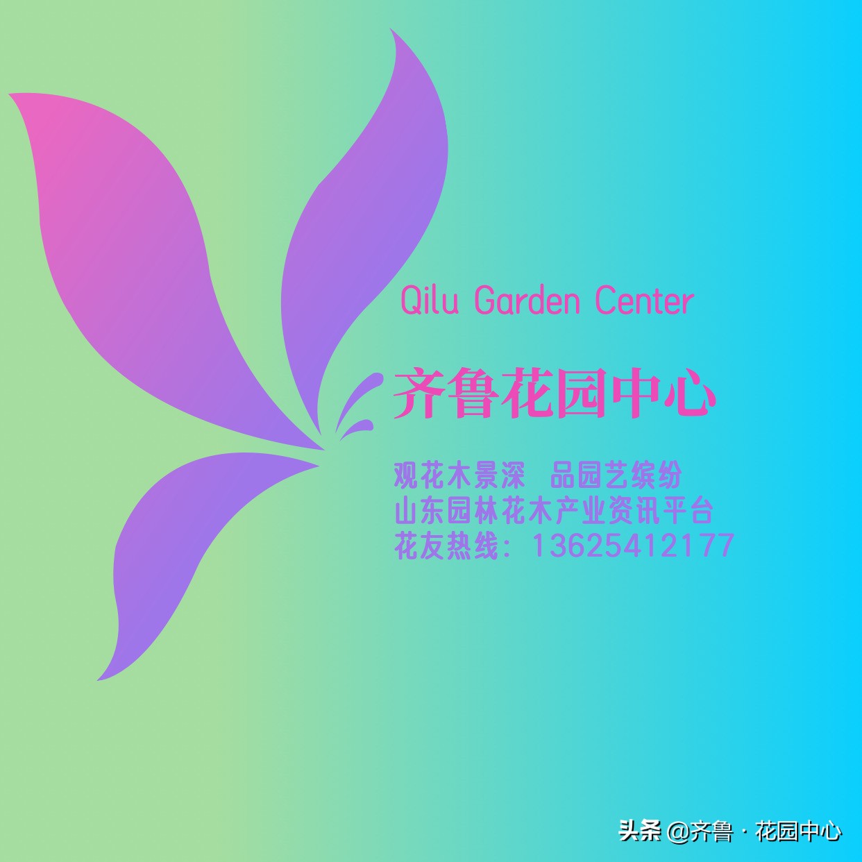 鑺卞簵涓冨鐖嗘,涓冨鑺卞簵鏂板搧鎺ㄨ崘