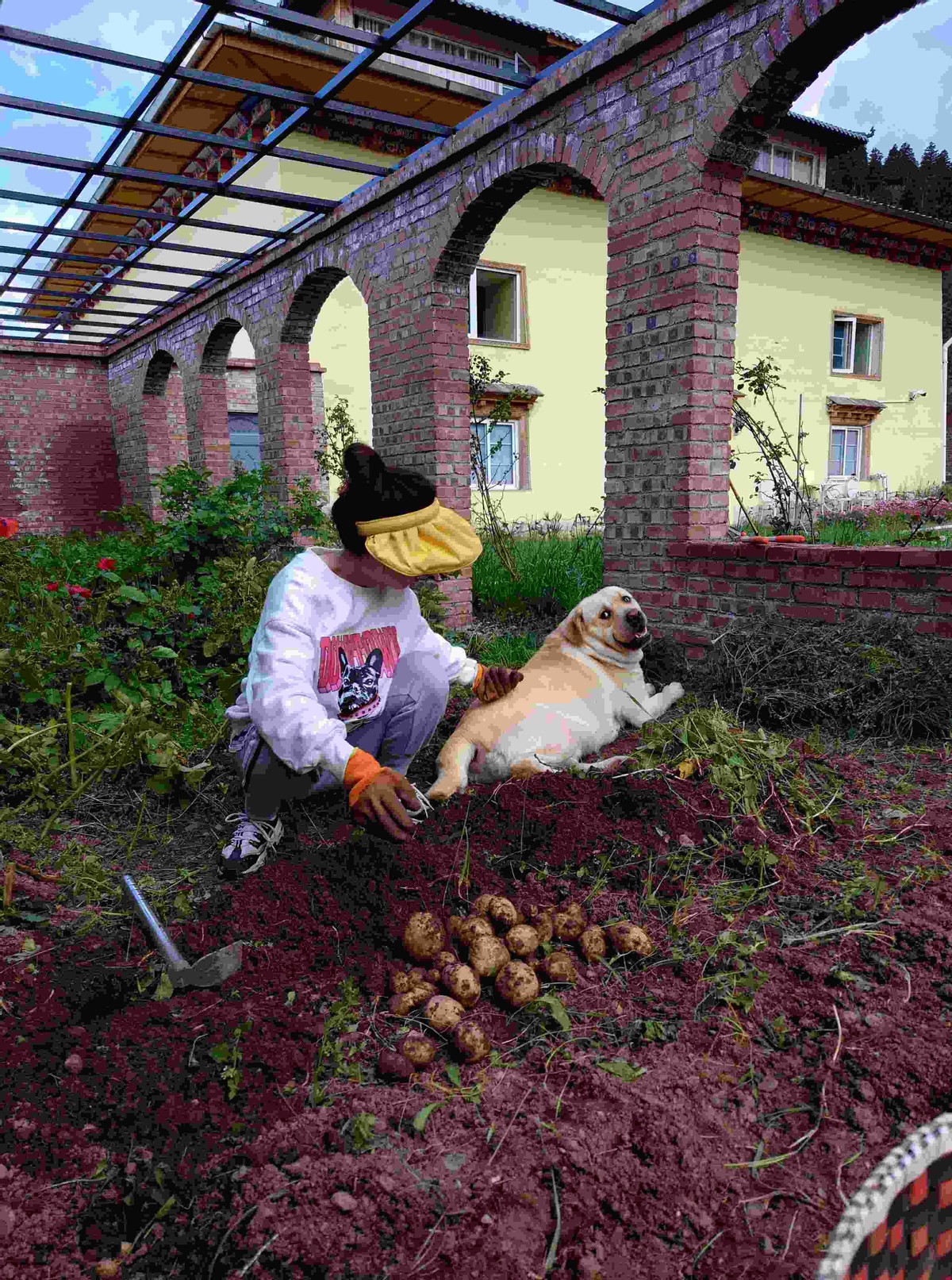 裸辞去了丽江和香格里拉,裸辞香格里拉