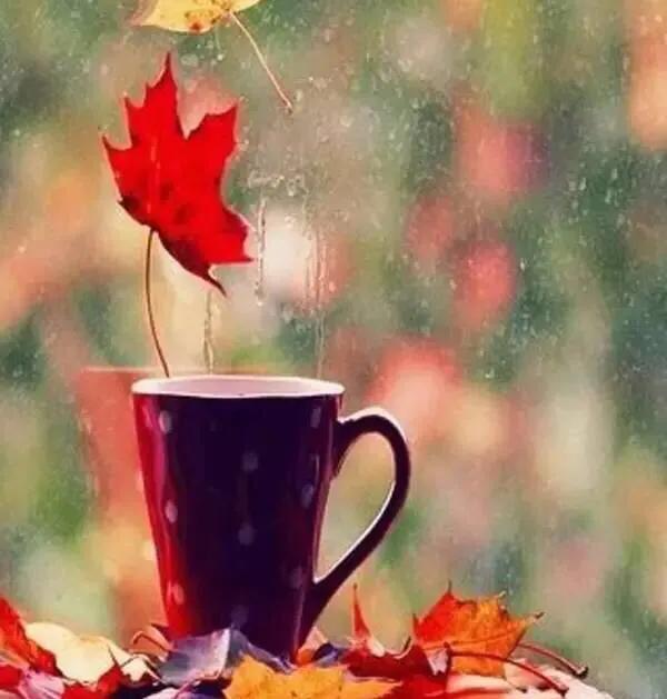 人生百味谁能不累熬过就是重生,人生百味谁能不累熬过了就是重生