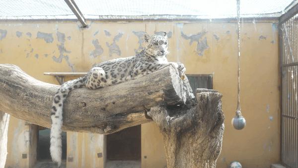 唯卓仕75mmf1.2配索尼a6700,索尼a6700永诺50mmf1.8死机