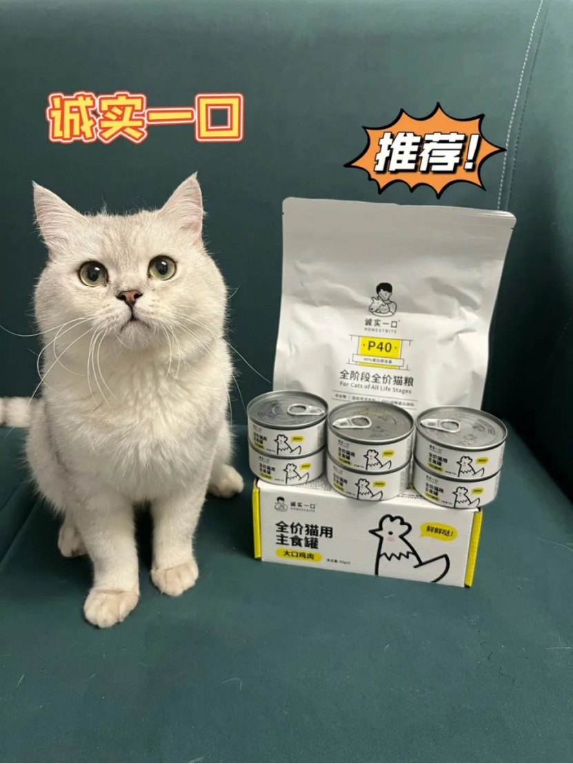 伟嘉猫罐头是毒罐头吗,什么牌子的猫罐头比较好啊