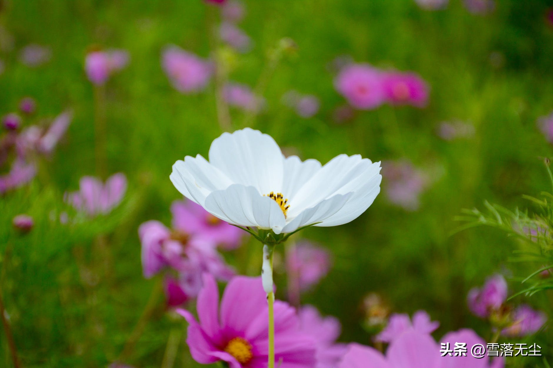 很爱一个人应该怎么办,感情患得患失怎么治疗