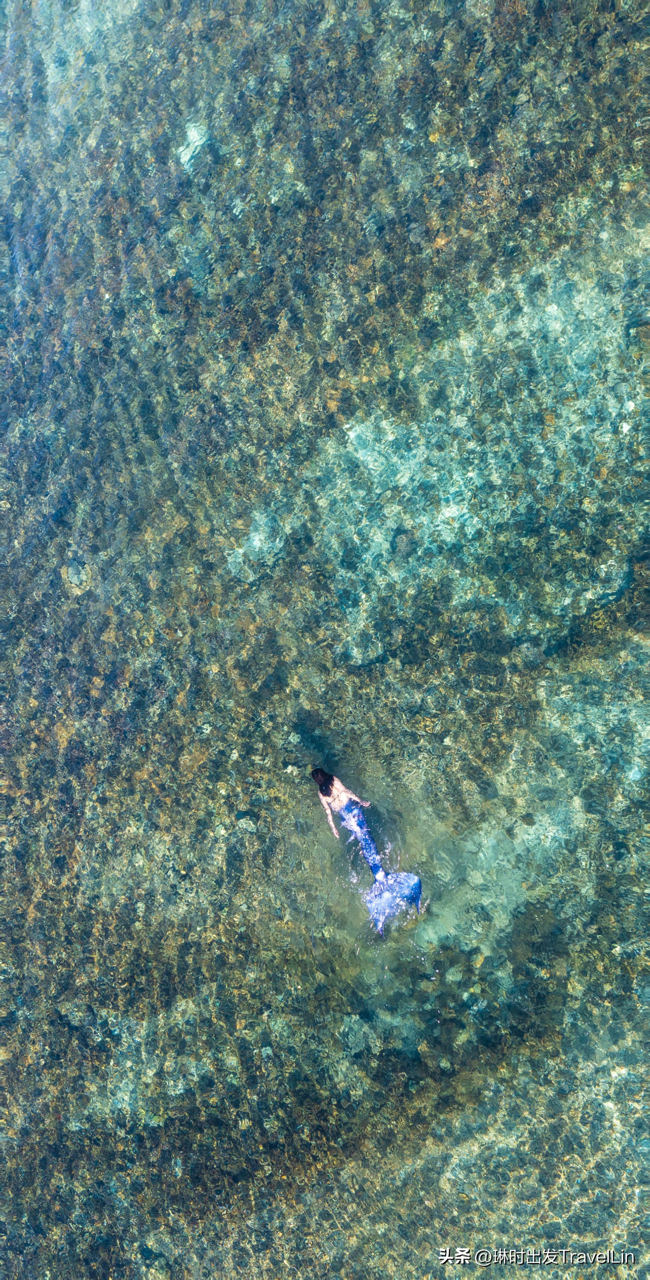 超刺激的海钓视频,超刺激的鲨鱼