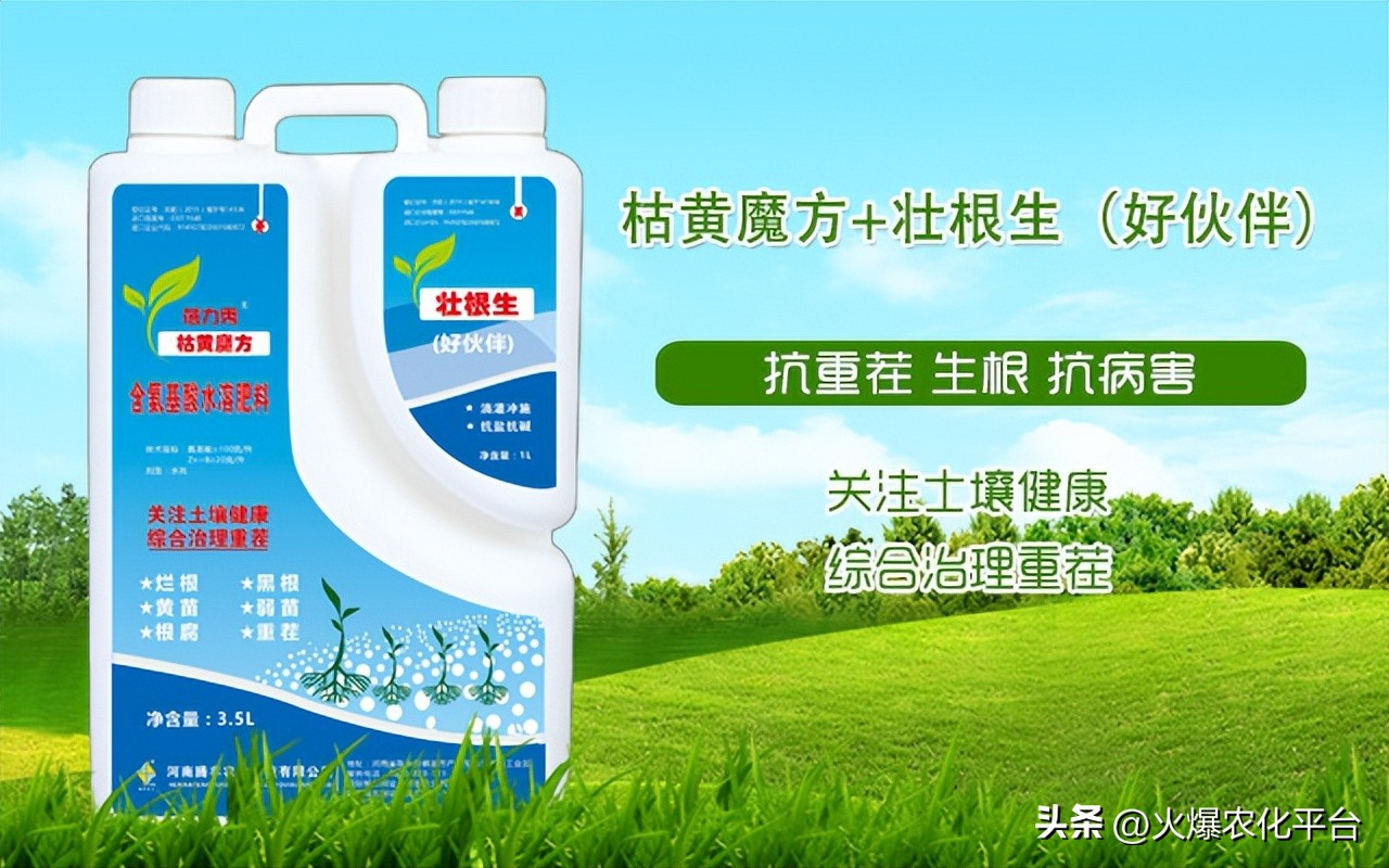 死树根烂根的克星,死苗烂根克星