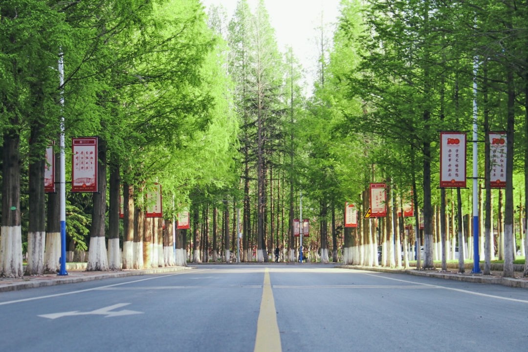 大连理工大学最新全国排名,大连理工大学第五轮评估喜报