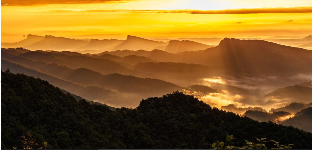 剑阁杯古树名木摄影大赛,保亭摄影比赛获奖作品