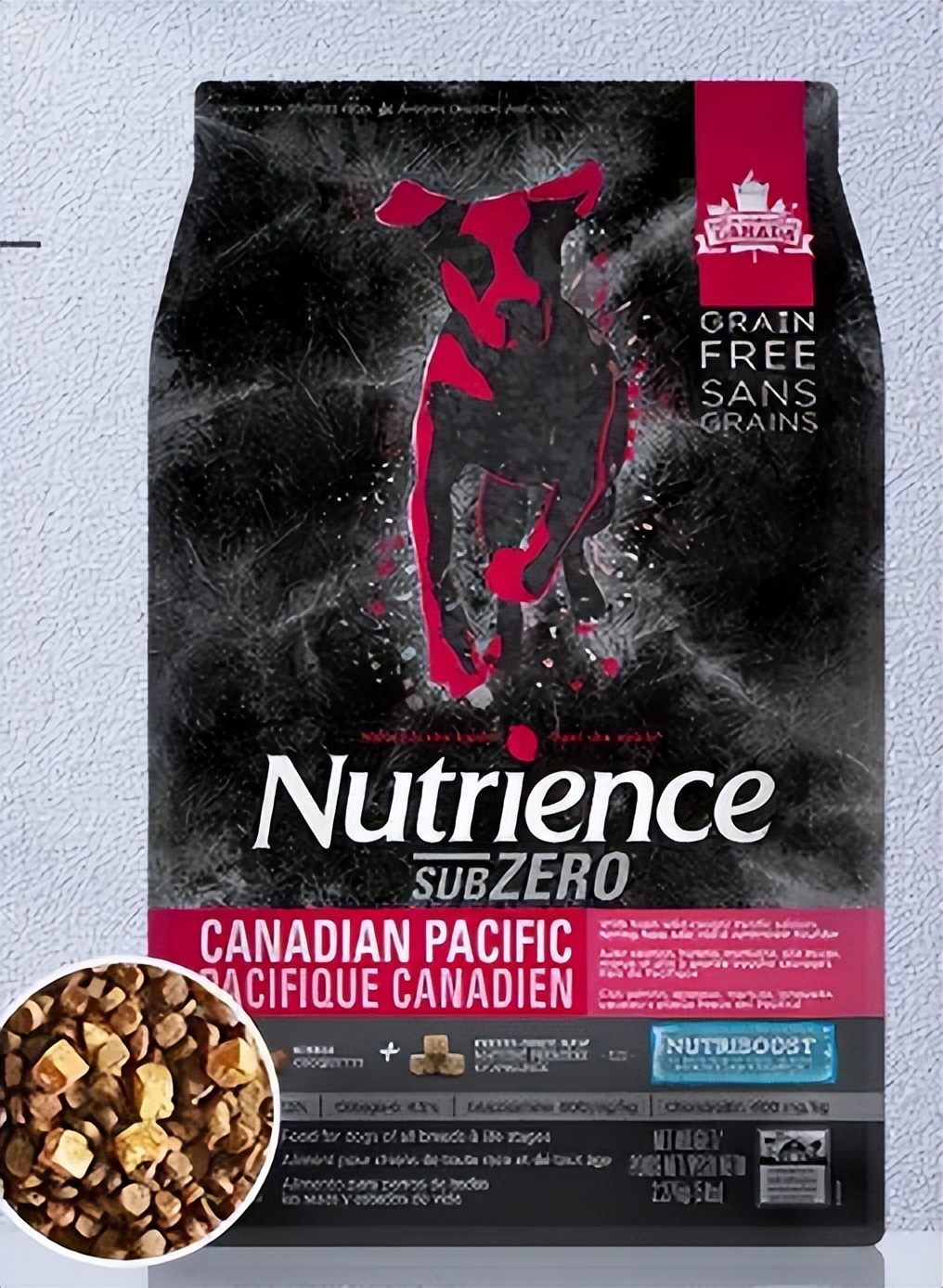 什么狗粮特别便宜又好养,新手家长养狗要避开的害命毒狗粮