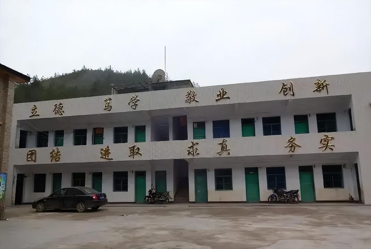 凤姐被骂是哪一年,凤姐后来如何去的美国