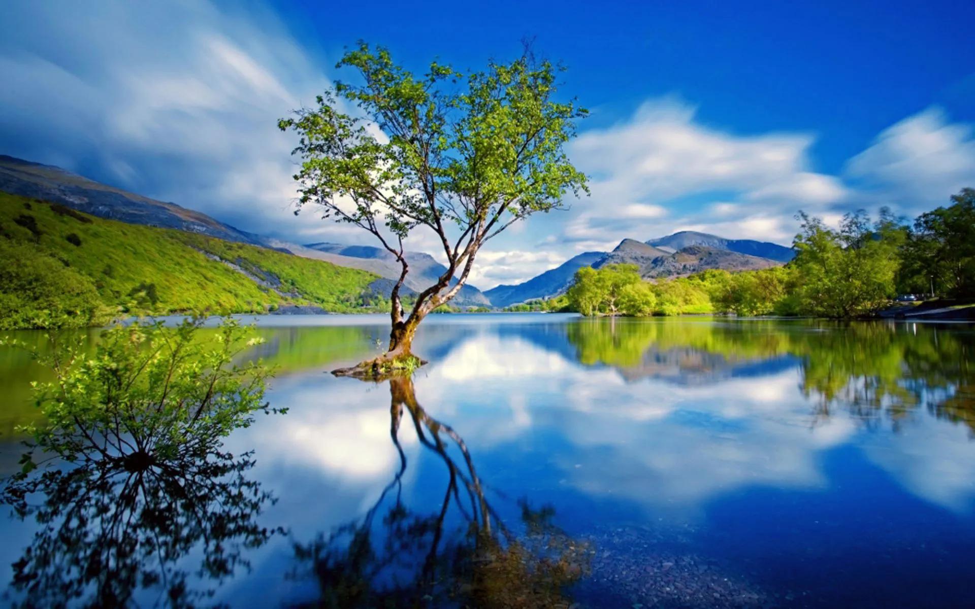 作为军嫂去了海南，有体制内工作和幸福的生活，她眼中的三亚好美