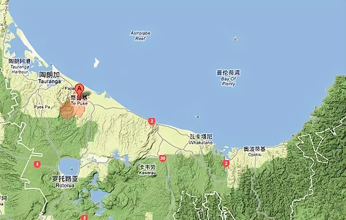 新西兰蒂普基猕猴桃特色小镇，如何实现从区域品牌到享誉世界？