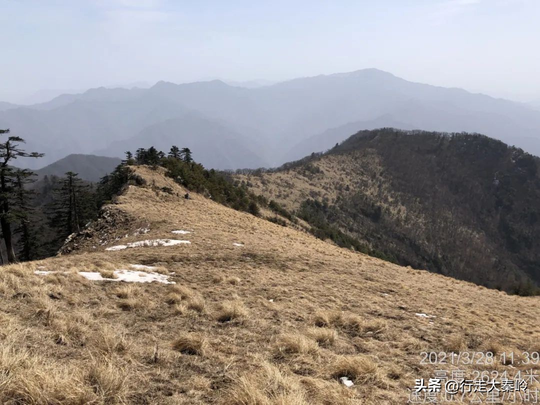 首阳山穿越大坪梁景色怎么样,大坪梁穿越到首阳山攻略