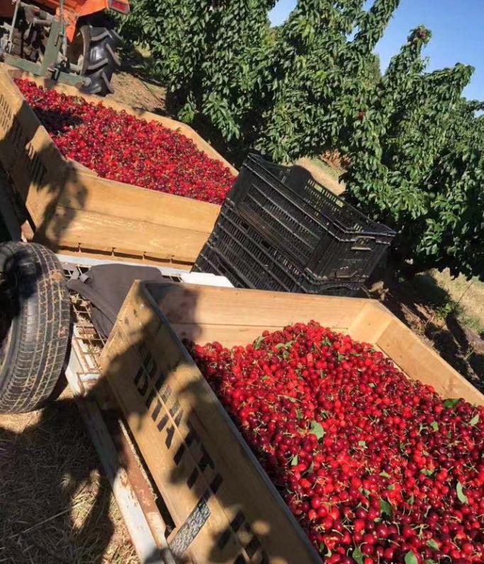 出国打工回国的感受,出国留学打工的真实感受