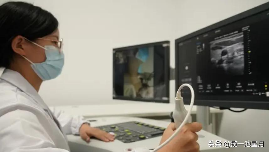 西安首个“移植子宫”宝宝出生了，女儿移植母亲子宫，打算要二胎