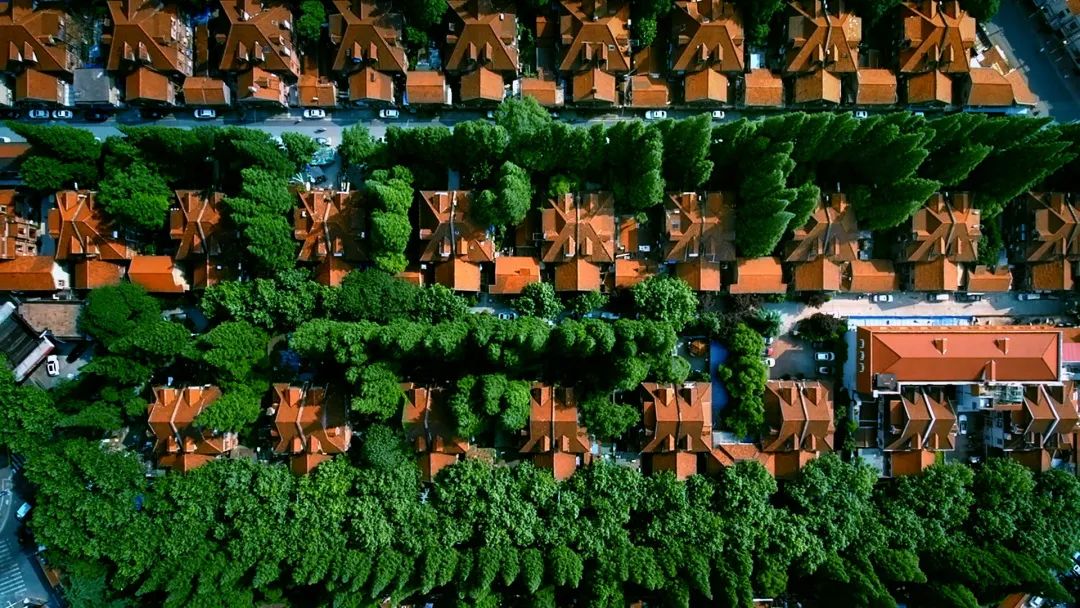 在飞驰人生中我懂得了什么,在飞驰的时光里