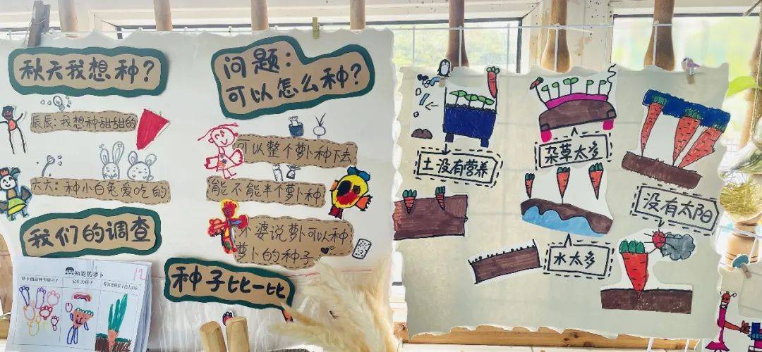 生态环创幼儿园自然角,幼儿园环创自然角实验