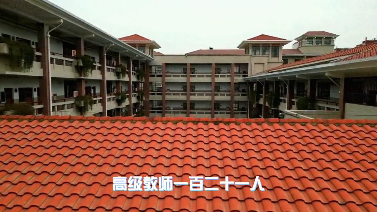 郑州七中教育集团有限公司,郑州七中教育集团卓越学校