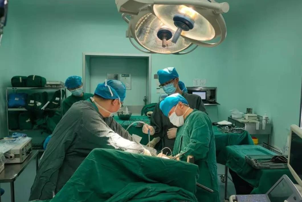 夏天卫生间里的小飞虫是什么,门窗紧闭家里的小飞虫哪里来的