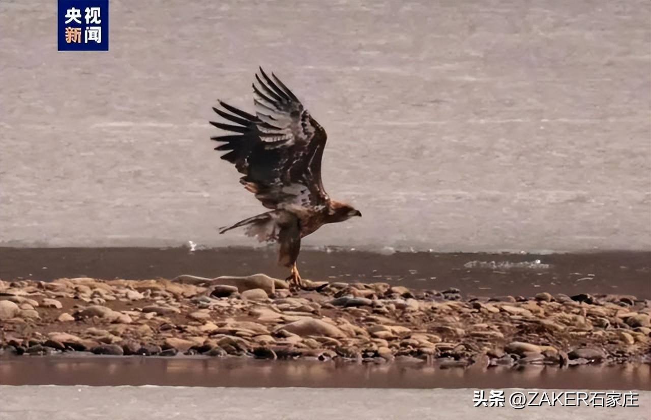 石家庄市入选！即日起可开户缴费；寒潮、大风来袭！河北各地要做好防范应对；京唐、京滨城际铁路最新进展