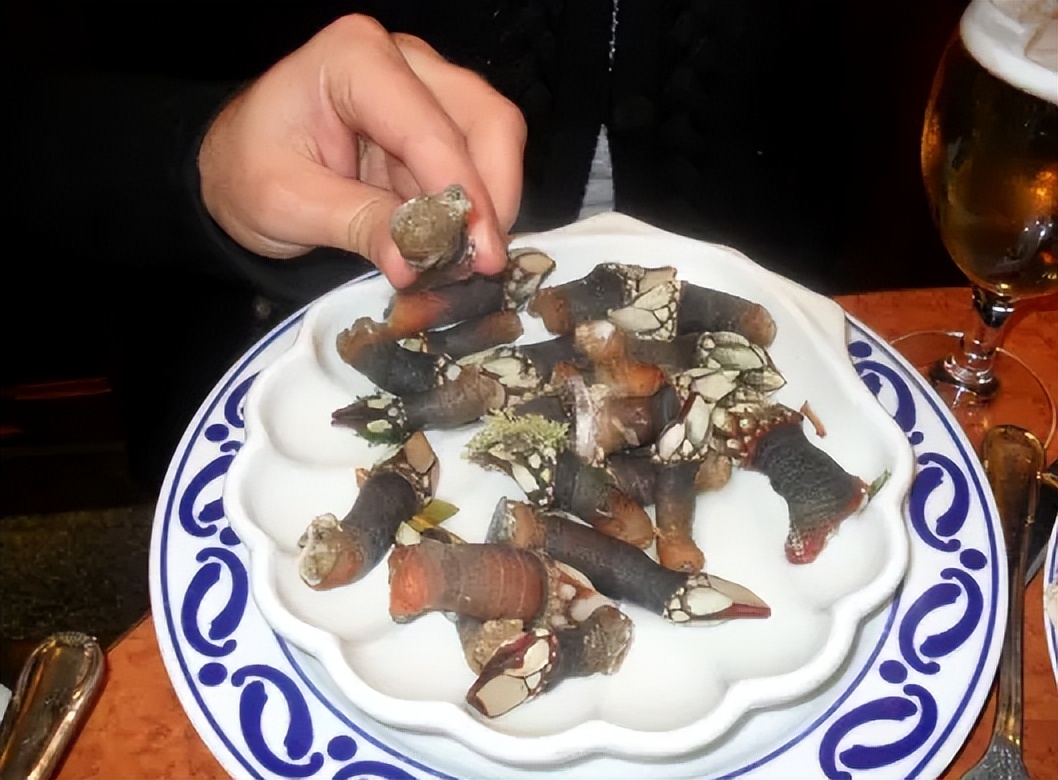 在浙江吃藤壶，还以为吞了个鬼手