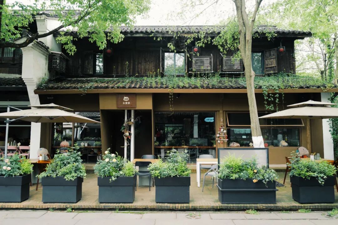 春天的潺潺溪水,春天的顶流