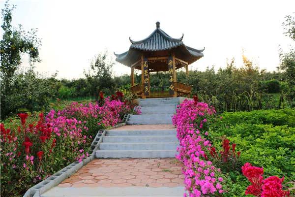 散文：淄博式《佳宁烧烤》整装待发