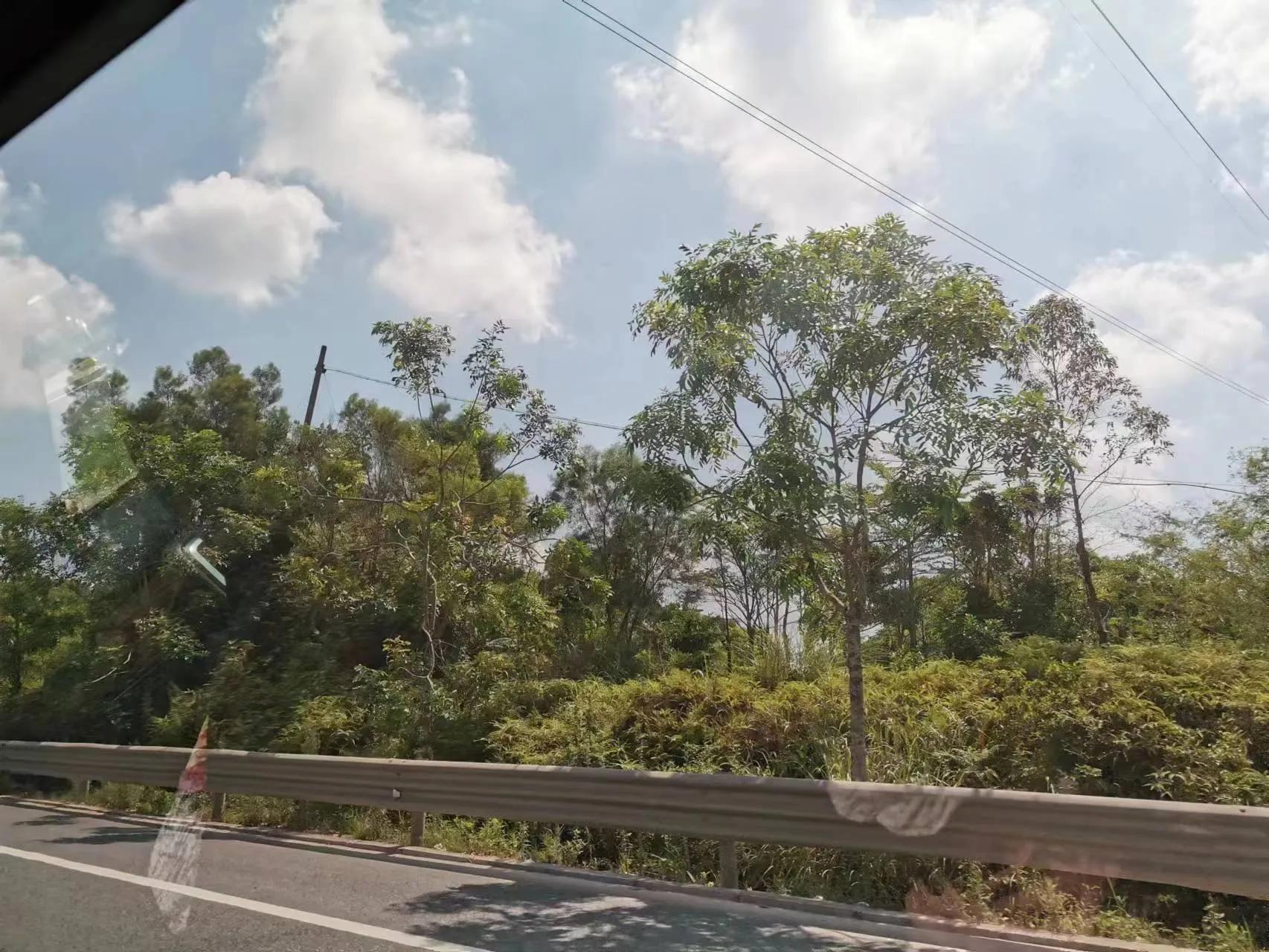 孩子发烧40零5度以后