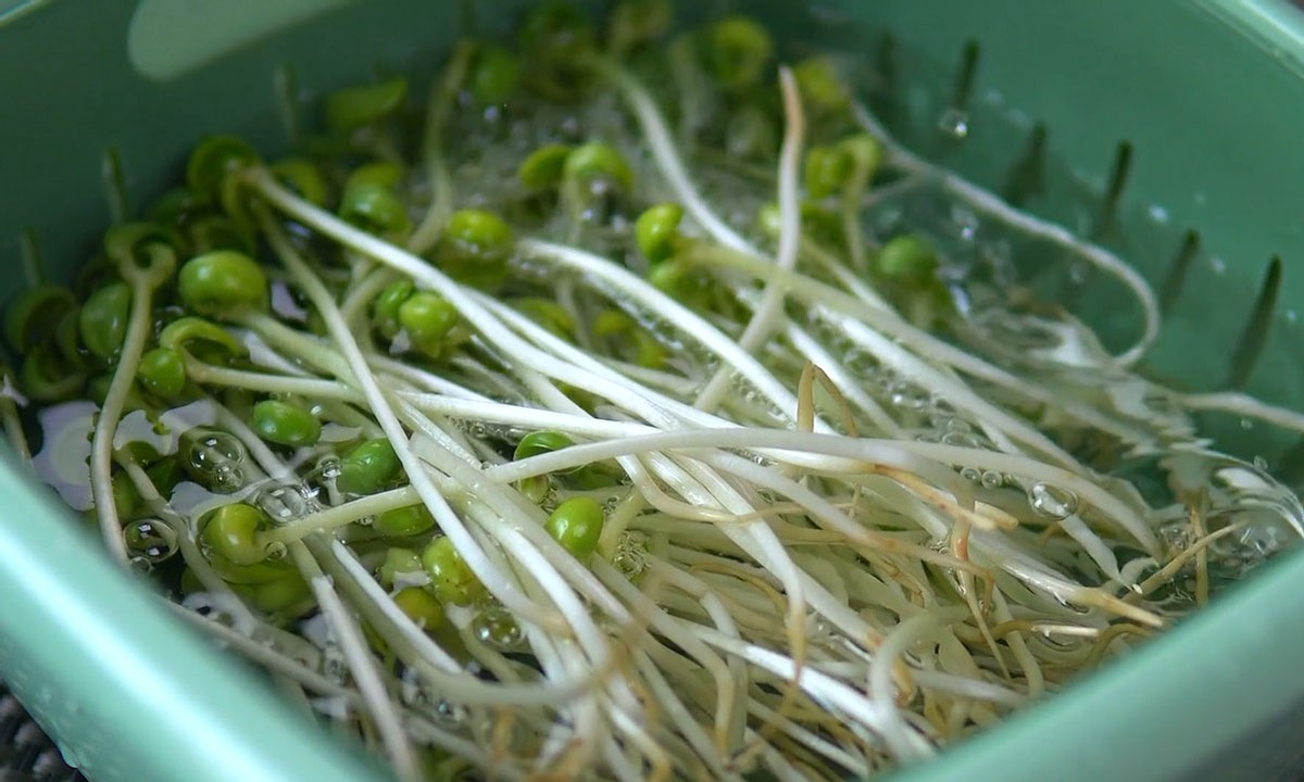 阳了吃什么食物增强抵抗力,阳了以后吃什么补品能增加抵抗力