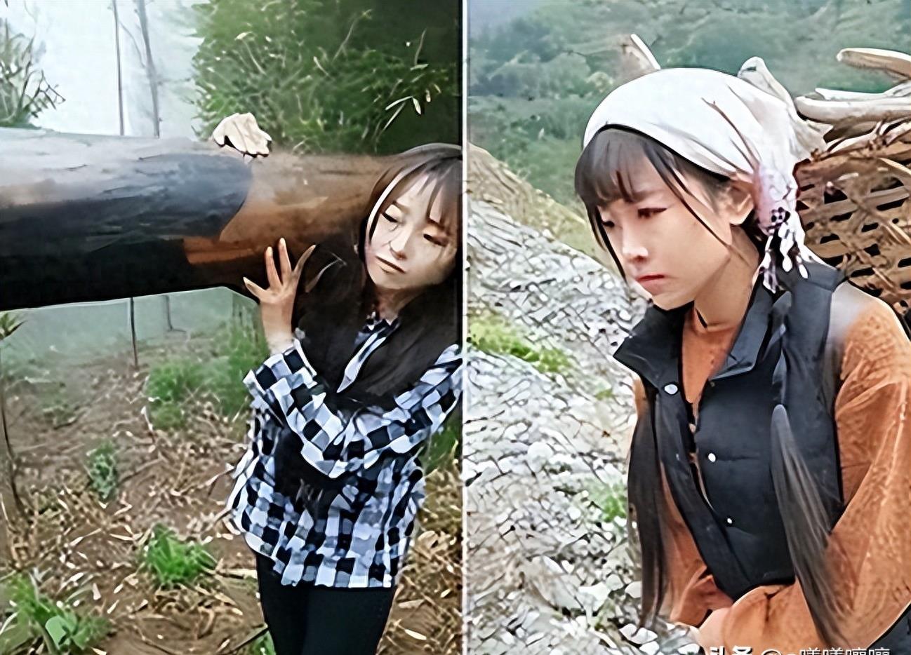 想不到吧!这就是大凉山网红主播下山背着的木头,居然是空心的