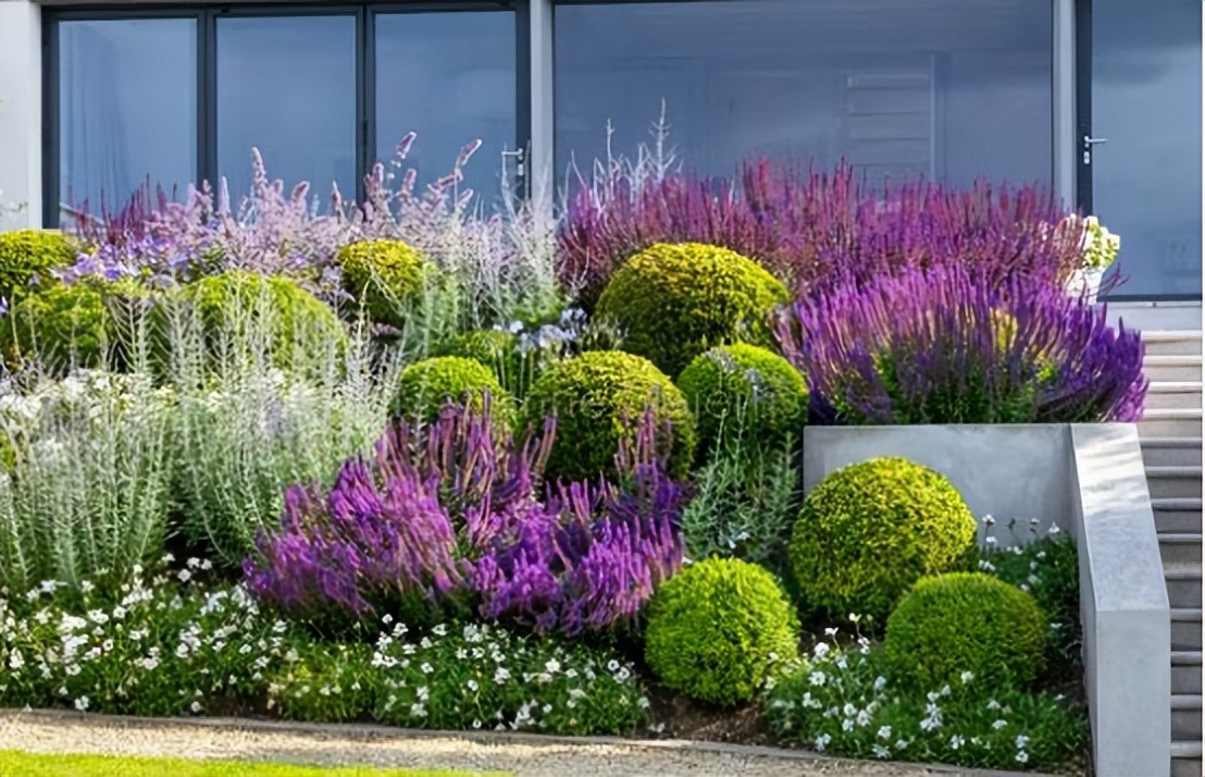 那些被我们忽略的风景,球球景观