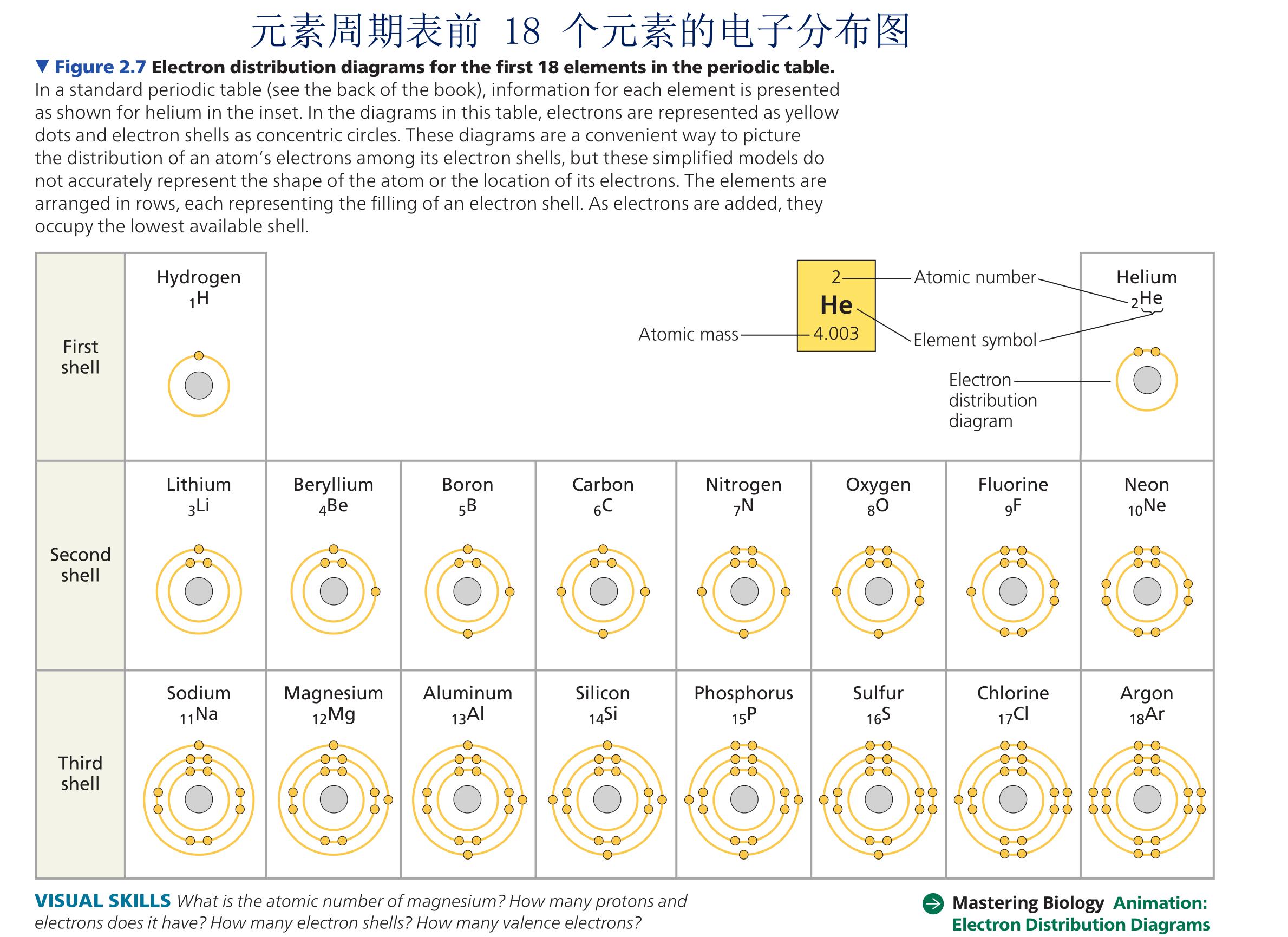 为轻松学英法德语和数理化打基础：小学900词词源解析第二十一课