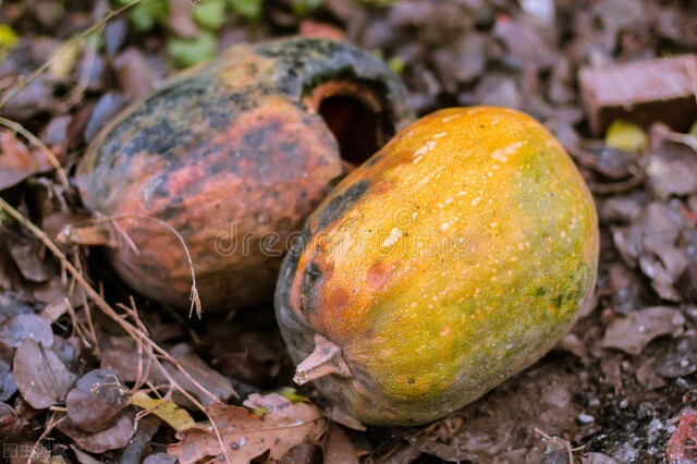 医经与经方两大体系辨证方法区别,经方六经辨证理论体系与临床应用