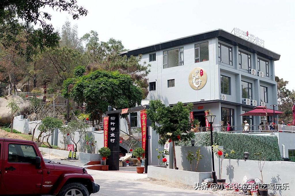 柳叶甲鱼村怎么样,柳叶村甲鱼