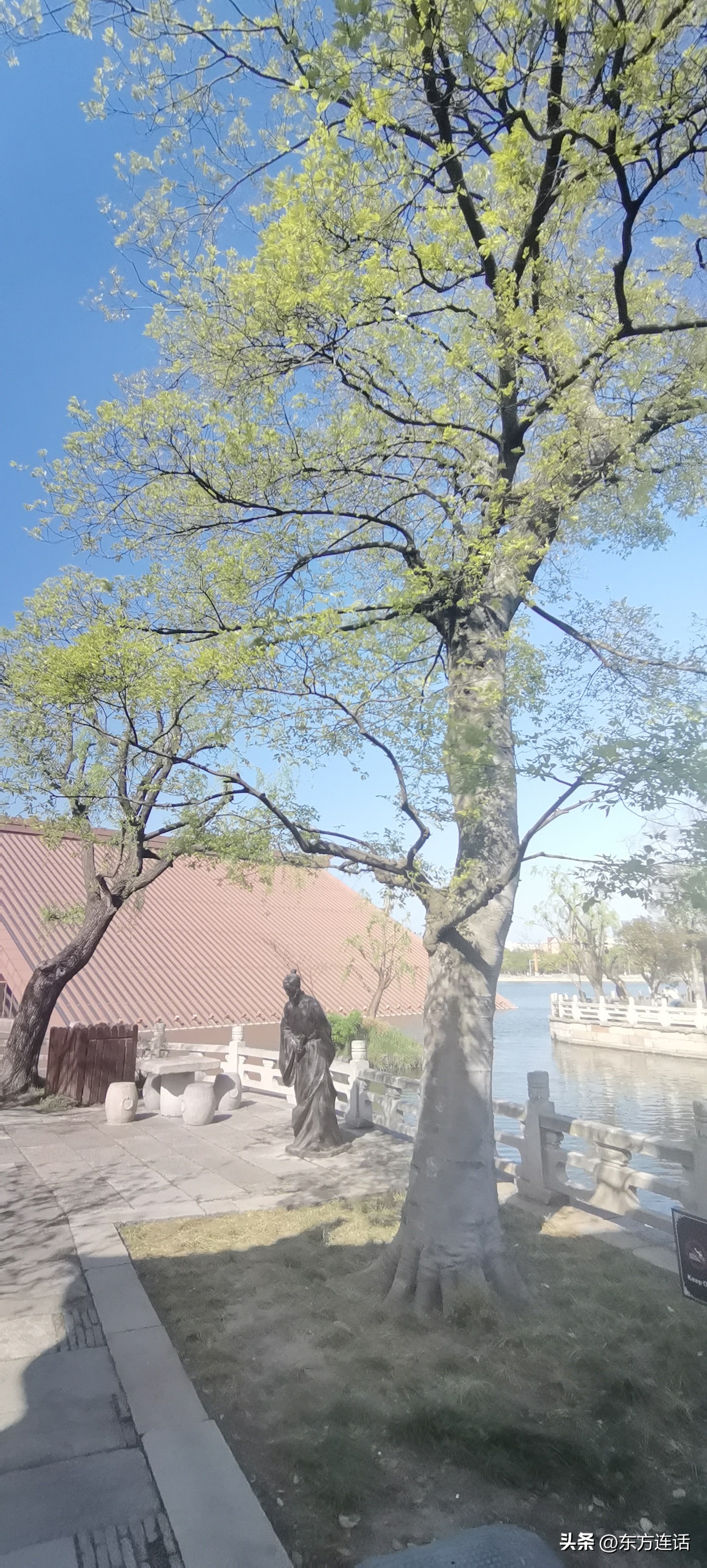 广富林文化遗址公园为何在水里,上海广富林文化遗址公园介绍