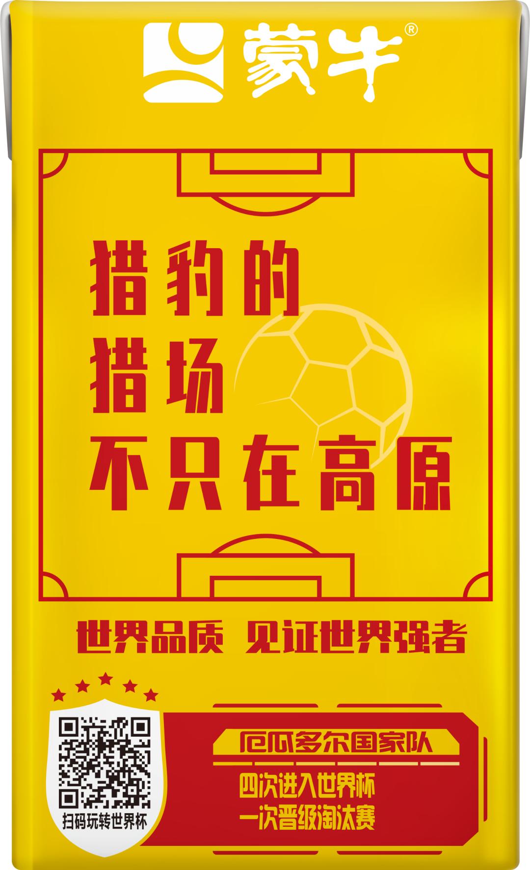 世界杯足球员故事,世界杯队长纪录片第四集