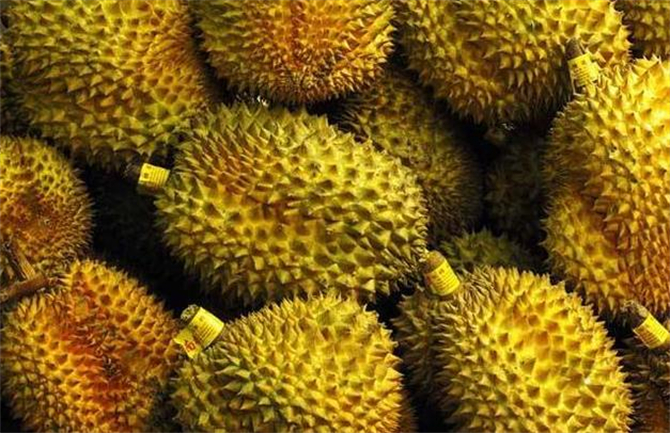 榴莲怎么挑才能挑到最好吃的榴莲,榴莲怎么挑才能挑到好吃的