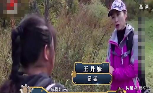 野猪林诡异事件,野猪林神秘事件