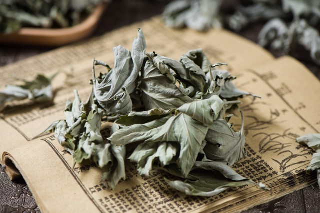 艾草驱蚊子最有效的方法,熏艾草防蚊子