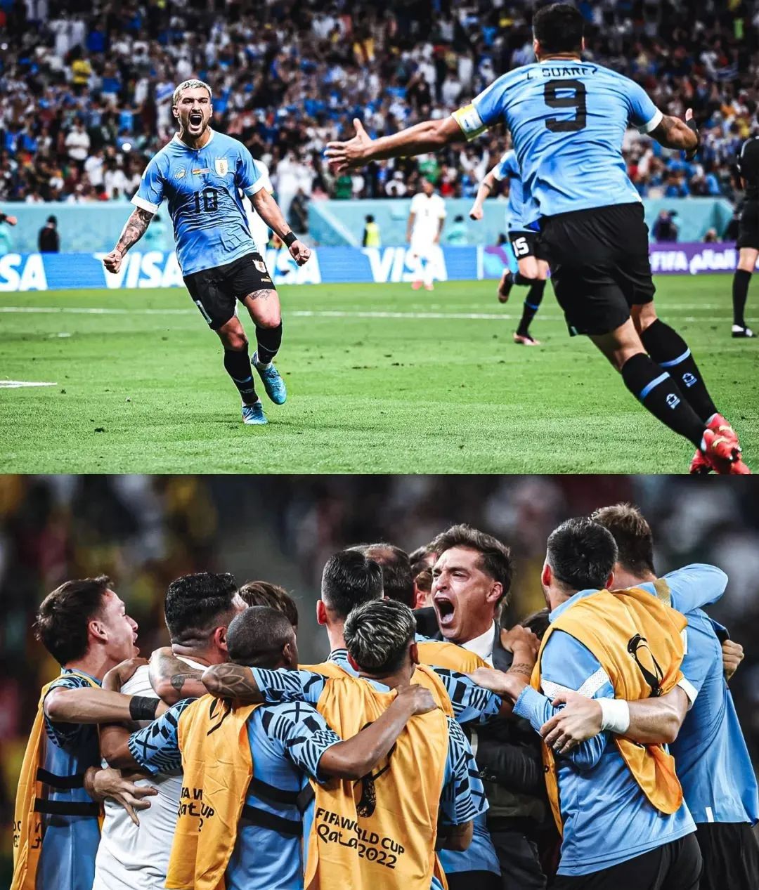 逗妹吐槽最新,逗妹吐槽视频