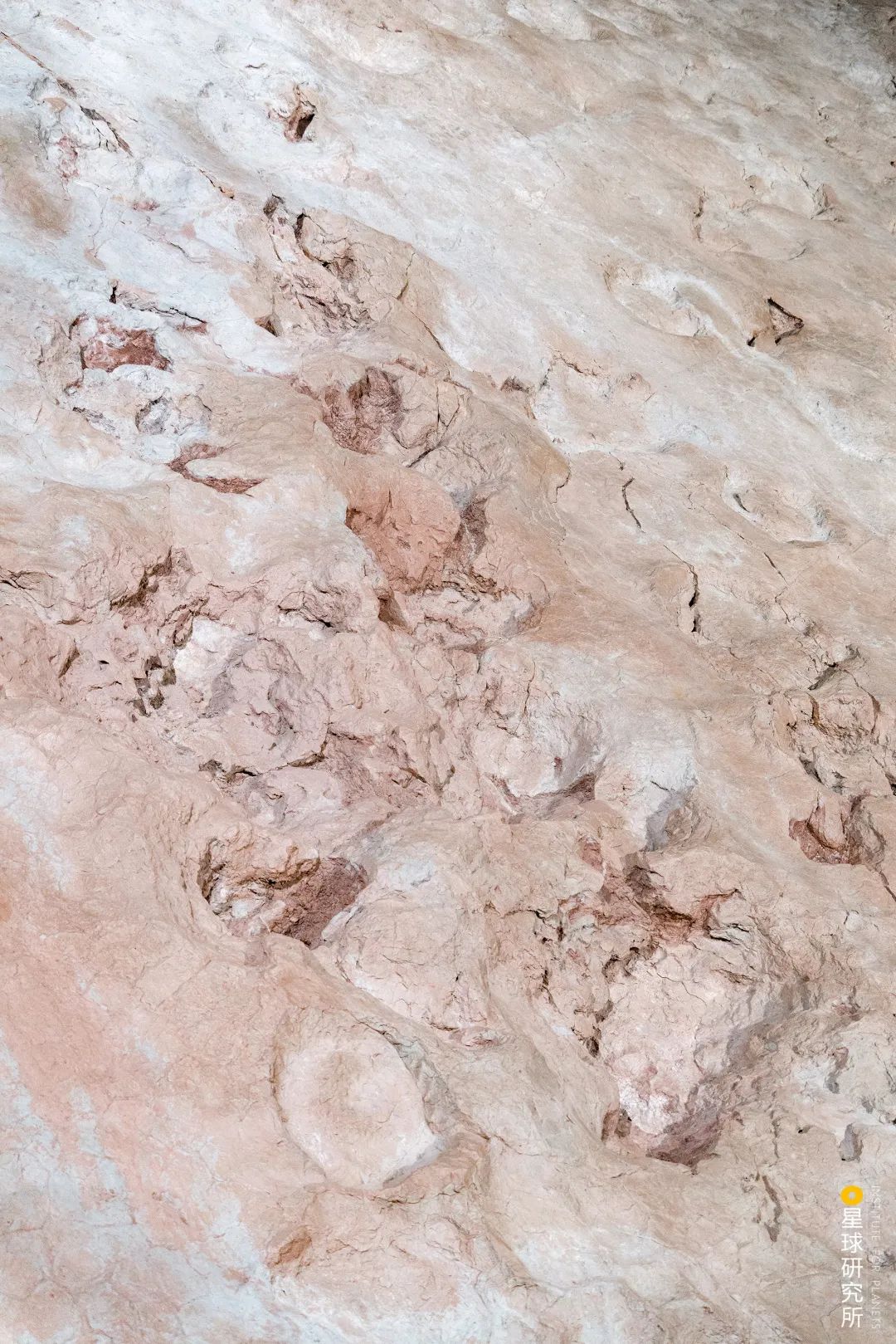 现在甘肃临夏的风景是真美,甘肃临夏有啥著名景点