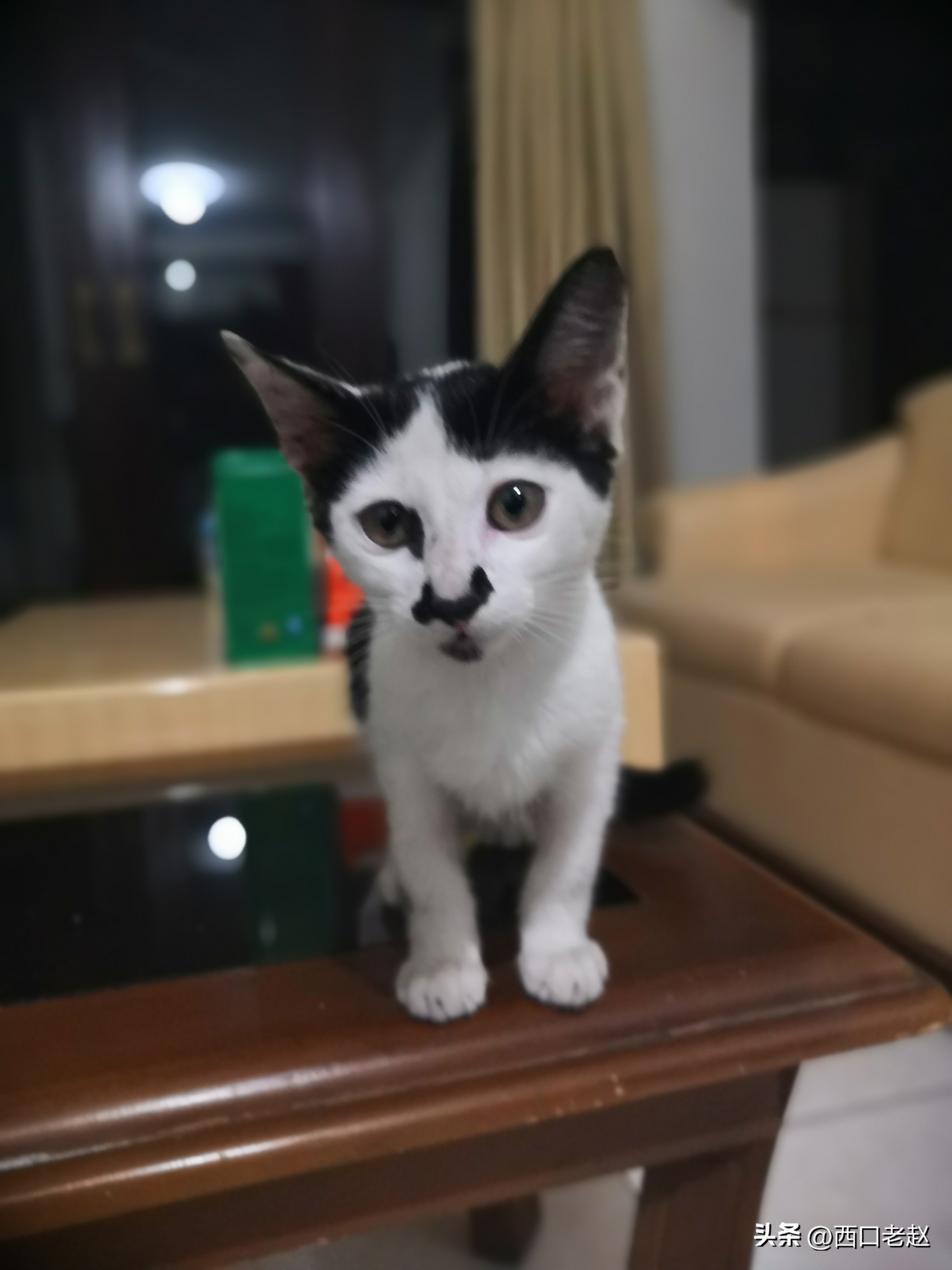 行走在国外的岁月33——致敬我的海外生涯