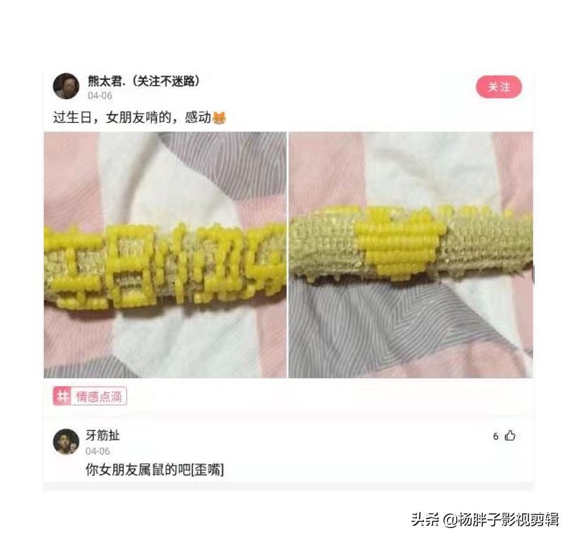 菠萝与凤梨是同一种水果吗,与凤梨菠萝相似的水果