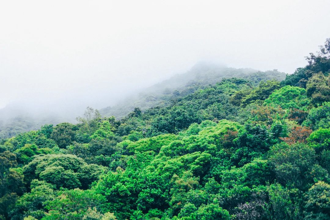 深圳一日游必去的地方,深圳吃货必去的地方