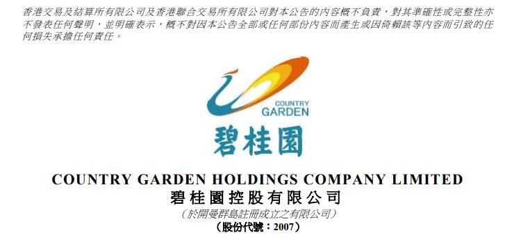 碧桂园杨惠妍视频素材,碧桂园杨惠妍发布会完整版