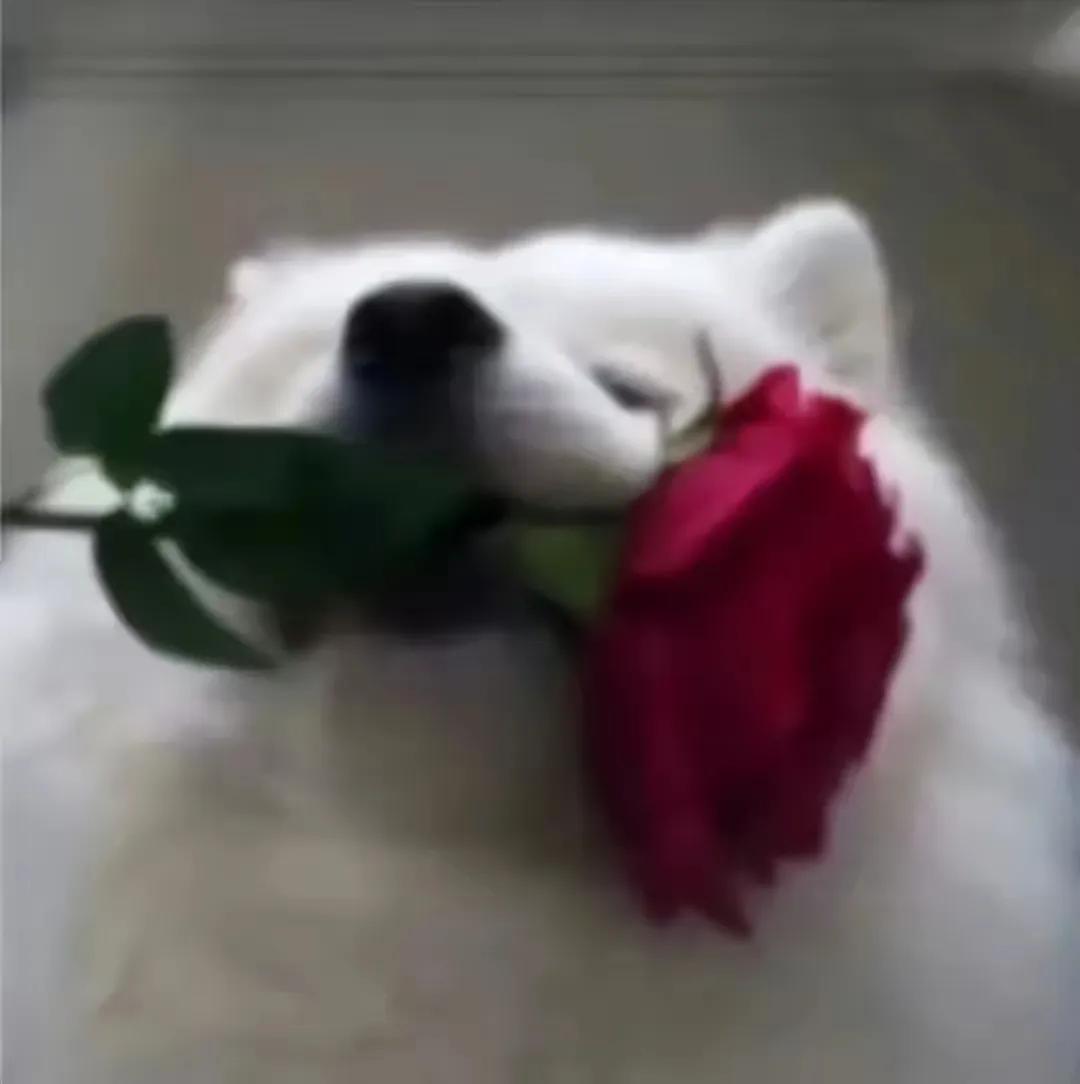 当下我们处在什么样的社会,现代社会的人是怎么样的