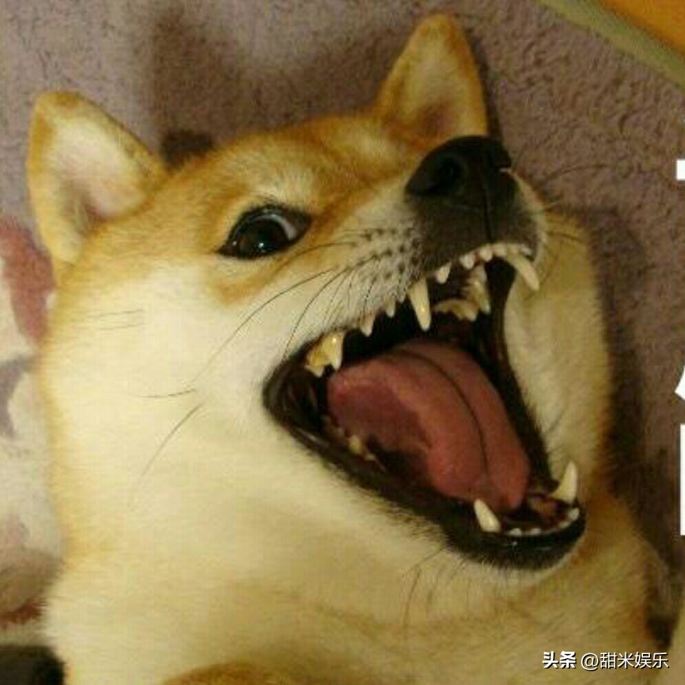 阿娇重生到了现代,阿娇重回英皇