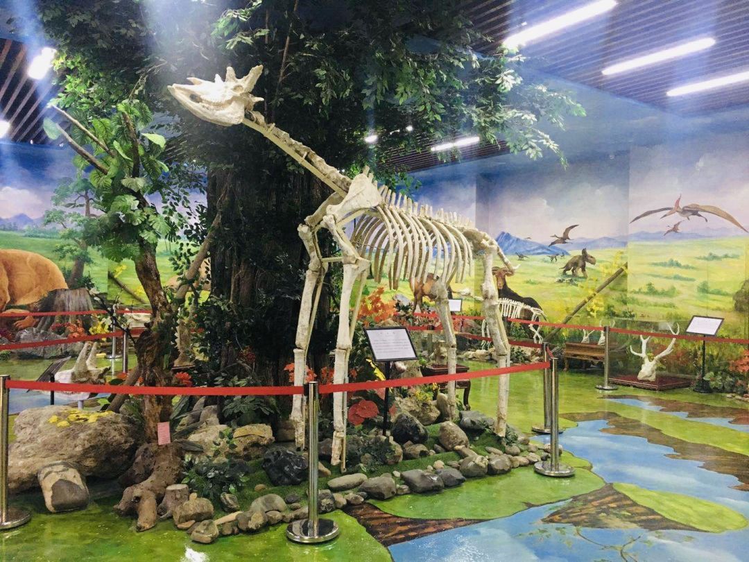 最美人间四月天美景,最美人间四月天治愈系风景