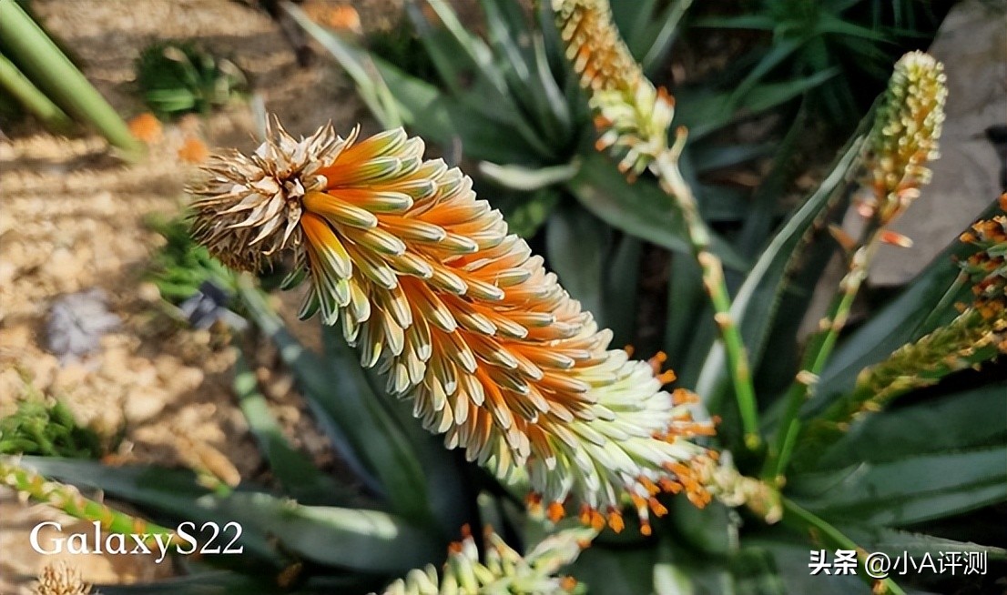 三星galaxys22系列发布时间,三星GalaxyS22发布价格